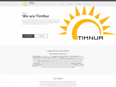 timnur.com snapshot