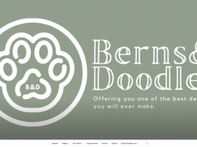 bernsanddoodles.com snapshot
