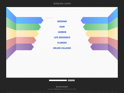 wdyan.com snapshot