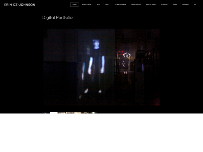 erin.icejohnson.com snapshot