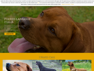 foxredlabrador.it snapshot