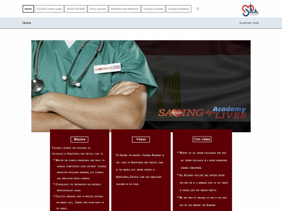 savinglivesacademy.com snapshot
