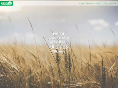 kristui.lt snapshot