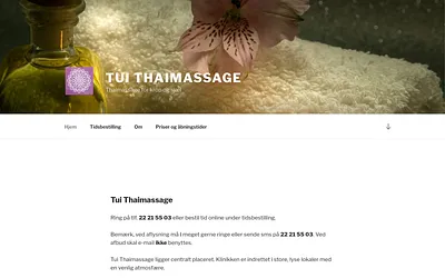 tui-thaimassage.dk snapshot