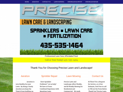thepreciselawn.com snapshot
