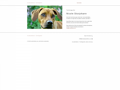 hundertblicke.com snapshot