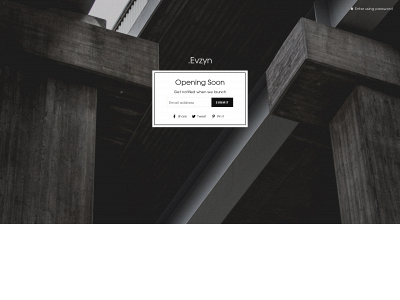 evzyn.com snapshot