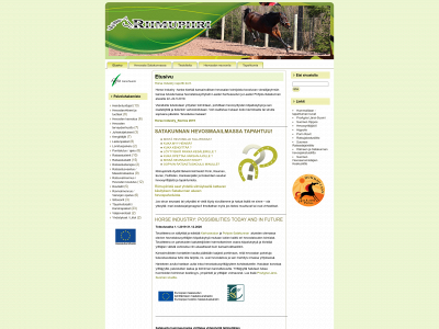 riimupiiri.fi snapshot
