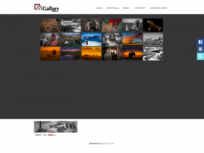 mgallary.com snapshot