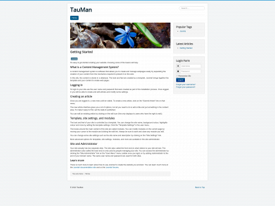 tauman.lt snapshot