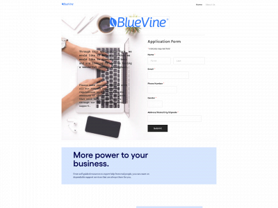 bluevineloan.weebly.com snapshot