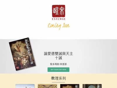 exsurgebooks.com snapshot