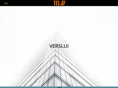 telsi.lt snapshot