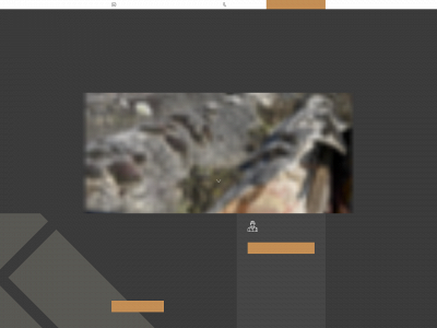 n-asbestattest.be snapshot