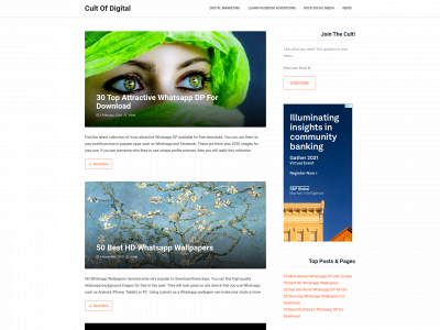 cultofdigital.com snapshot