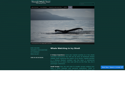 hoonahwhaletours.com snapshot