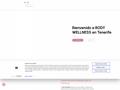 bodywellness.es snapshot