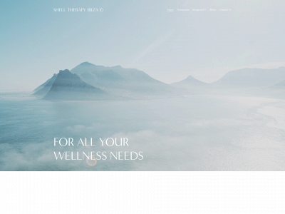 shelltherapy.org snapshot