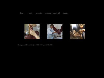 ingedewilde.be snapshot