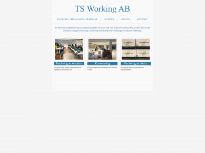 tsworking.se snapshot