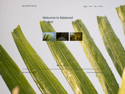 balancedphotos.com snapshot
