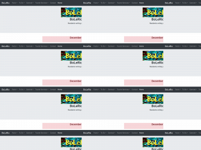 bolerio.com snapshot
