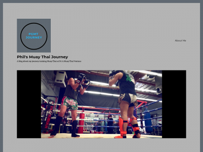 pgmtjourney.com snapshot