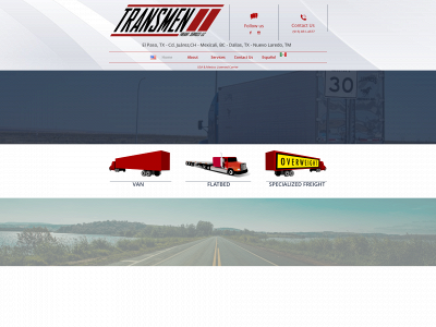t-f-s.net snapshot