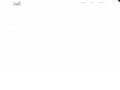 drone-deployment-services.com snapshot