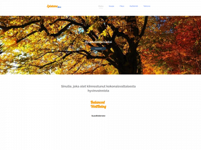 epistemestore.fi snapshot