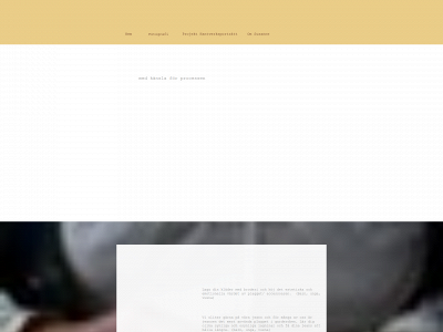 susannesadri.com snapshot