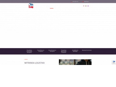 mlog.lt snapshot