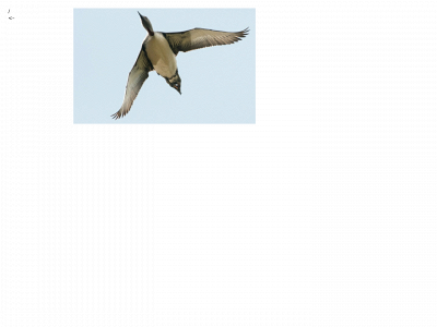 juhapekkamatiaslaakkonen.pm snapshot
