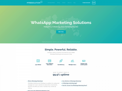mtreesolution.com snapshot