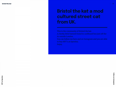 bristolthekat.site snapshot