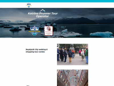 reykjavikfuntours.com snapshot