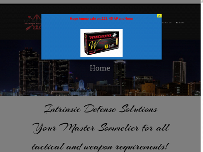 intrinsicdefensesolutions.com snapshot