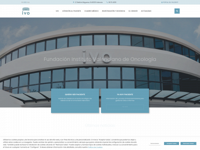 www.ivo.es snapshot