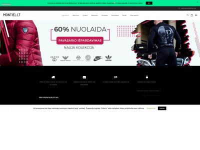 montiel.lt snapshot