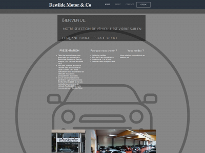dewildemotor.be snapshot