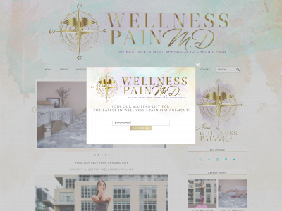 wellnesspainmd.com snapshot