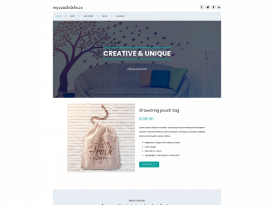 mycoachdelle.se snapshot