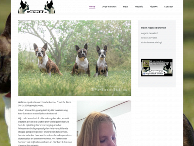 princhis.nl snapshot