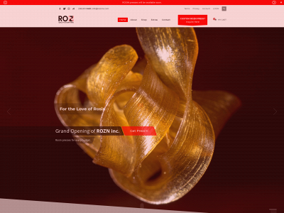 rozninc.com snapshot