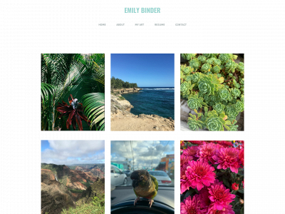 emily-binder.weebly.com snapshot