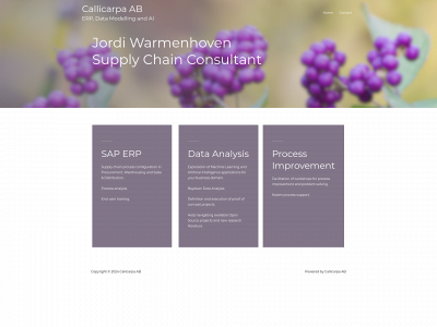 callicarpa.se snapshot