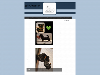 silkybelair.com snapshot