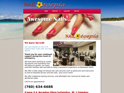 nailtoepiasalon.com snapshot