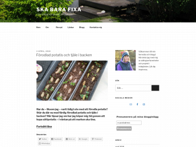 www.skabarafixa.com snapshot