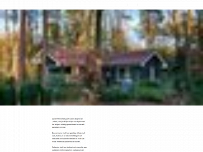 thuisinhetbos.info snapshot